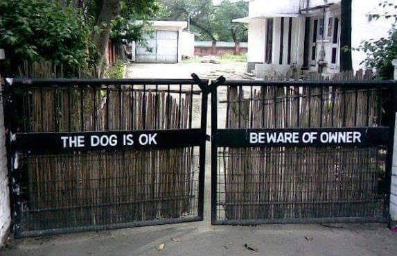 कुत्ते से सावधान